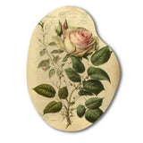 Victorian Retro Pink Rose V - Asymmetric Metal Wall Art