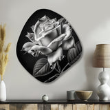 Blossoming White Rose On Black II - Asymmetric Metal Wall Art