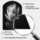 Close-up Of Black And White Tulip I - Asymmetric Metal Wall Art