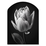 Close-up Of Black And White Tulip I - Asymmetric Metal Wall Art