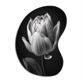 Close-up Of Black And White Tulip I - Asymmetric Metal Wall Art