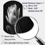 Close-up Of Black And White Tulip I - Asymmetric Metal Wall Art