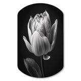 Close-up Of Black And White Tulip I - Asymmetric Metal Wall Art