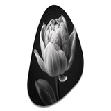 Close-up Of Black And White Tulip I - Asymmetric Metal Wall Art