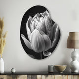 Close-up Of Black And White Tulip I - Asymmetric Metal Wall Art