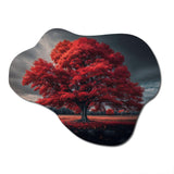 Lonely Majestic Red Tree In The Countryside II - Asymmetric Metal Wall Art