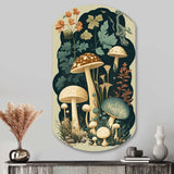 Vintage Mushrooms Amanita Muscaria III - Asymmetric Metal Wall Art