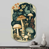 Vintage Mushrooms Amanita Muscaria III - Asymmetric Metal Wall Art