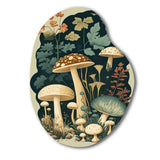 Vintage Mushrooms Amanita Muscaria III - Asymmetric Metal Wall Art