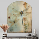 Vintage Painting Of Dragonfly Flying I - Asymmetric Metal Wall Art