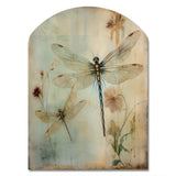 Vintage Painting Of Dragonfly Flying I - Asymmetric Metal Wall Art