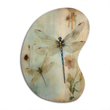 Vintage Painting Of Dragonfly Flying I - Asymmetric Metal Wall Art