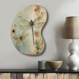 Vintage Painting Of Dragonfly Flying I - Asymmetric Metal Wall Art