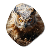 Portrait Of Brown Owl Wildlife Photography - Asymmetric Metal Wall Art