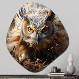 Portrait Of Brown Owl Wildlife Photography - Asymmetric Metal Wall Art