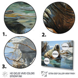 Walrus Arctic Serenade - Walrus Home Decor Art