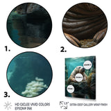Walrus Arctic Serenity - Walrus Living Room Wall Art