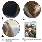 Walrus Family Portrait - Walrus Canvas Wall Art