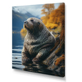 Walrus Coastal Reflections - Walrus Wall Decor
