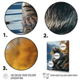 Walrus Coastal Reflections - Walrus Wall Decor