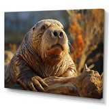 Walrus Golden Tusks - Walrus Wall Decor