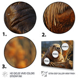 Walrus Golden Tusks - Walrus Wall Decor