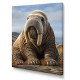 Walrus Majestic Ivory - Brown Walrus Wall Art