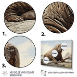 Walrus Regal - Walrus Framed Canvas Art