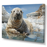 Walrus Wonder - Walrus Living Room Wall Art