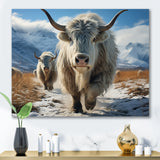 Yaks Majestic In Winter - Yaks Wall Art Prints