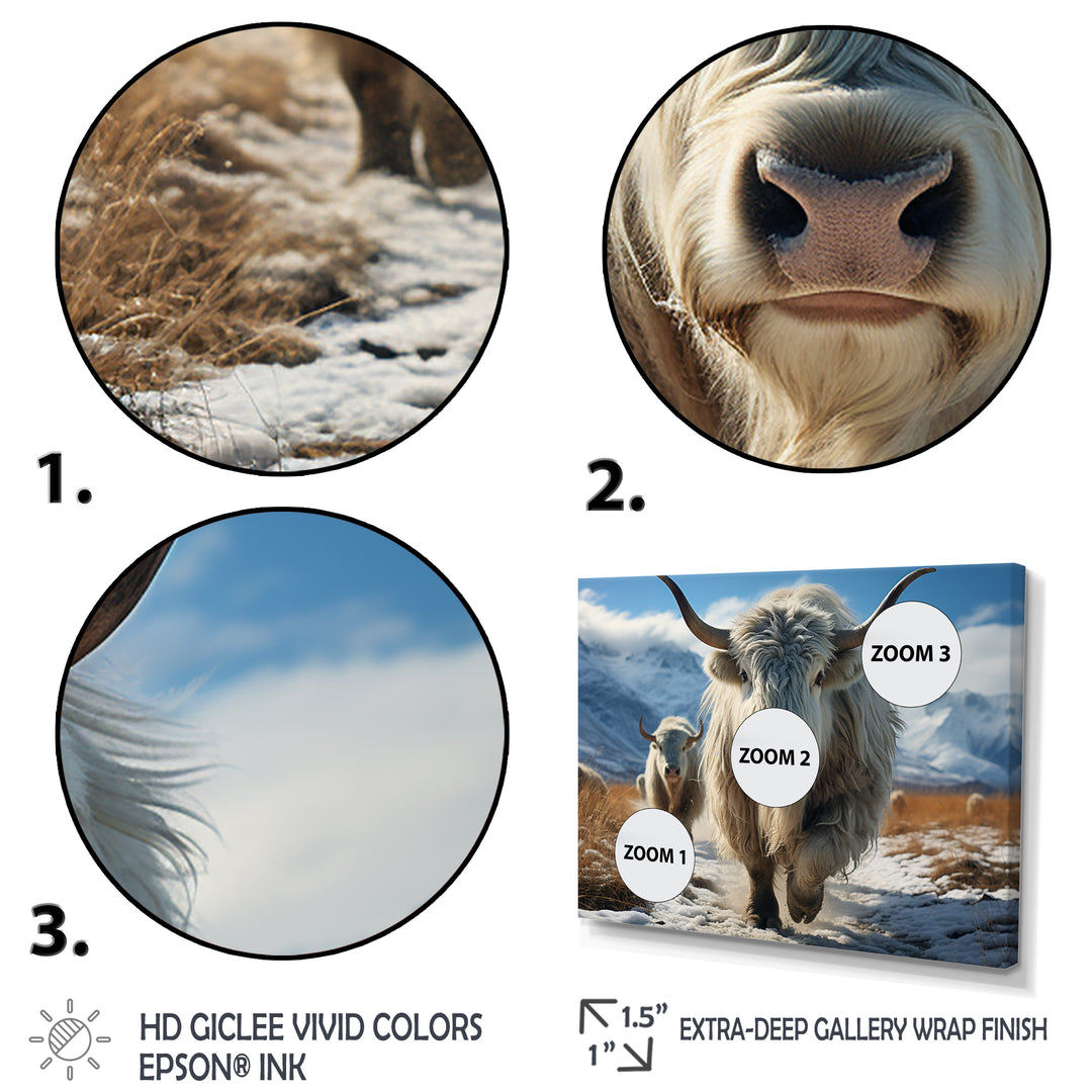 Yaks Majestic In Winter - Yaks Wall Art Prints