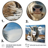 Yaks Majestic In Winter - Yaks Wall Art Prints