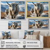 Yaks Majestic In Winter - Yaks Wall Art Prints
