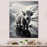 Yaks Serenade Of The Peak - Gray Yaks Wall Art