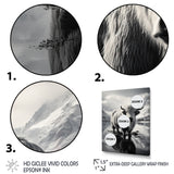 Yaks Serenade Of The Peak - Gray Yaks Wall Art
