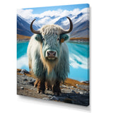 Yaks Solitude In Monochrome - Yaks Home Decor Art