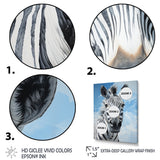 Contemporary Zebra Portrait - Zebra Wall Decor