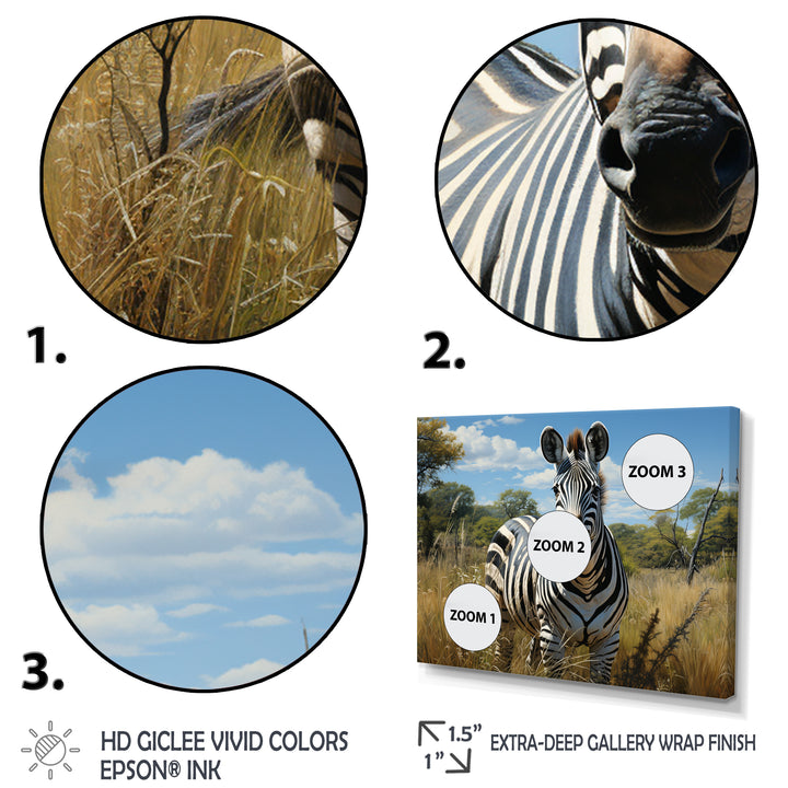 Zebra Realistic Wildlife Portrait - Zebra Wall Decor