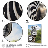 Zebra Realistic Zebra Portrait - Zebra Wall Decor