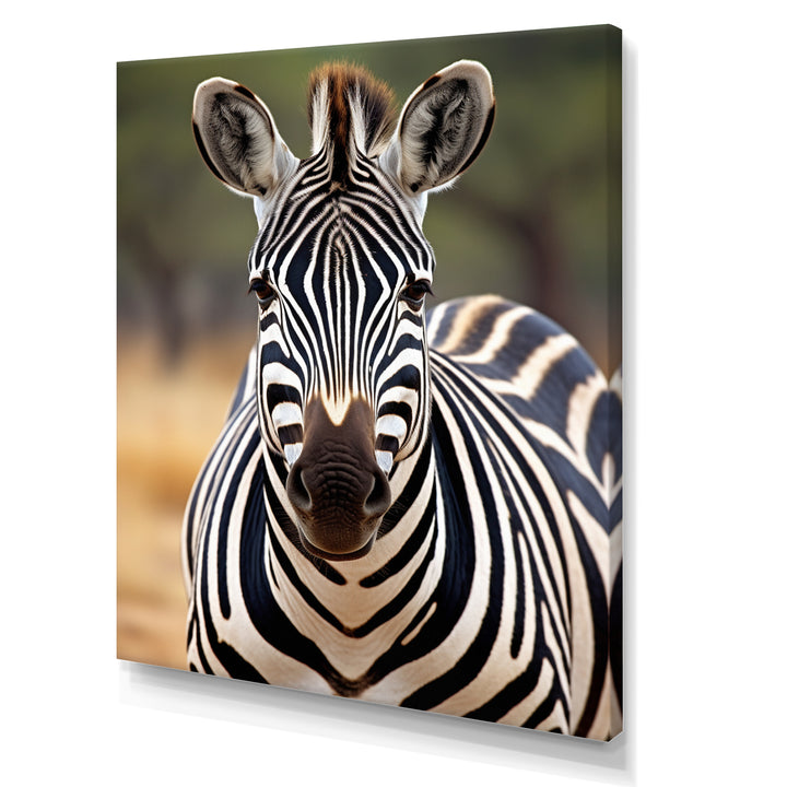 Zebra Patterns In - Zebra Living Room Wall Art