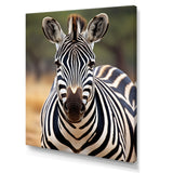 Zebra Patterns In - Zebra Living Room Wall Art