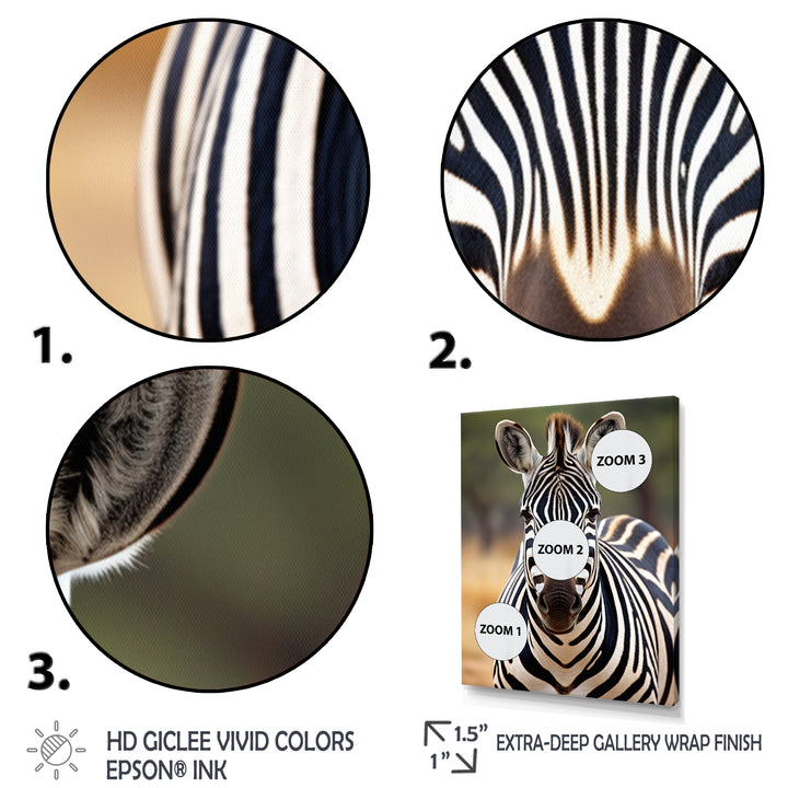 Zebra Patterns In - Zebra Living Room Wall Art