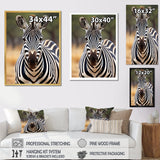 Zebra Patterns In - Zebra Living Room Wall Art