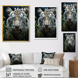 Tiger Zenith Portrait - Zebra Canvas Wall Art
