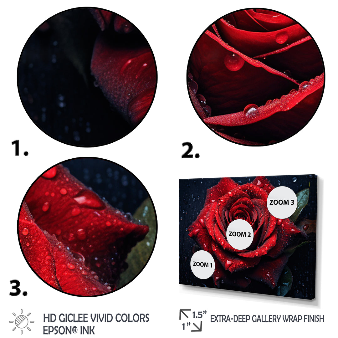 Red Rose with Raindrops VI - Multi-Panels