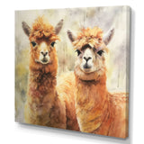 Graceful Alpacas - Brown Alpaca Wall Art