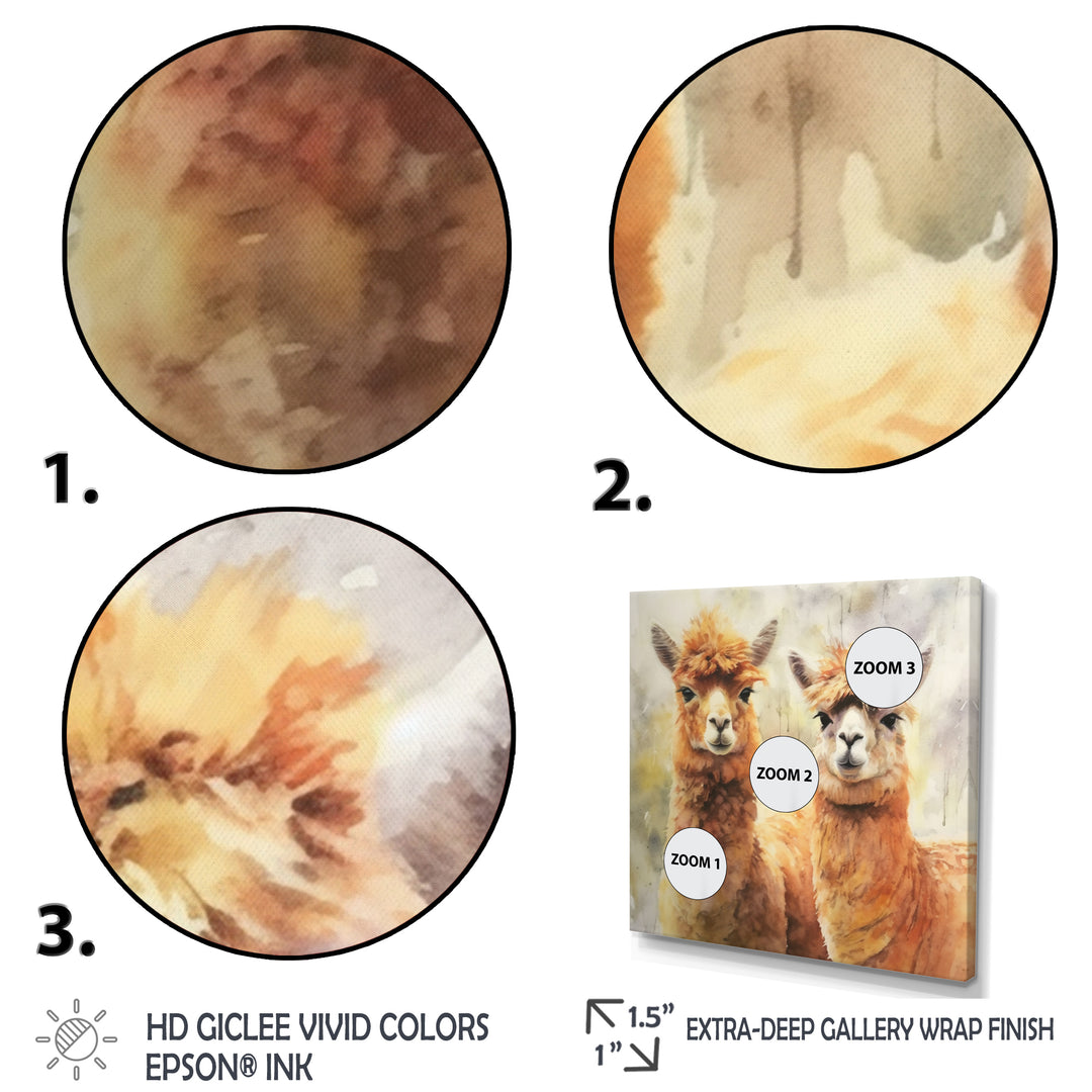 Graceful Alpacas - Brown Alpaca Wall Art