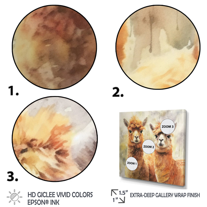 Graceful Alpacas - Brown Alpaca Wall Art