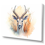 Wild Antelope Charm - Antelope Canvas Wall Art