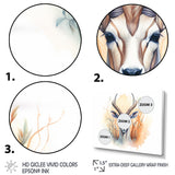 Wild Antelope Charm - Antelope Canvas Wall Art